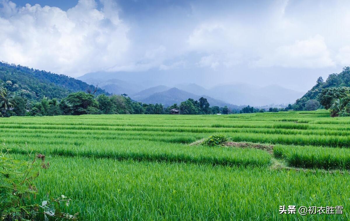 四月维夏，谈谈夏季（立夏四首唯美诗词）