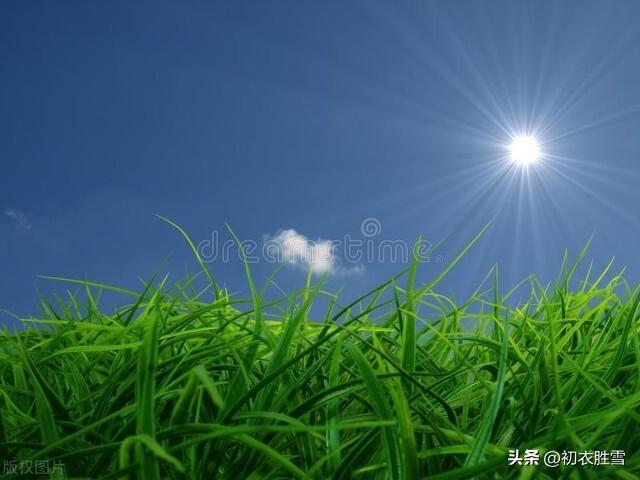 四月维夏，谈谈夏季（立夏四首唯美诗词）