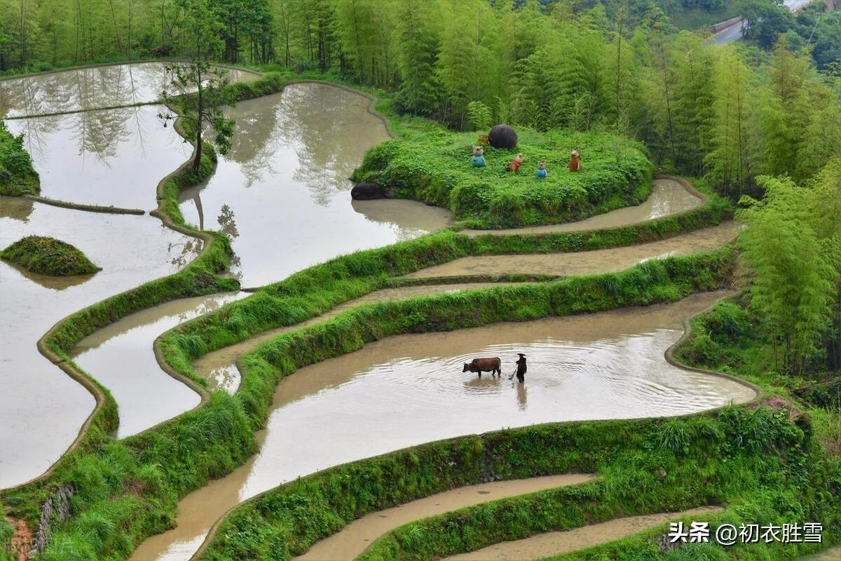 暮春唯美古诗四首赏析（白日去何速，青春不可羁）