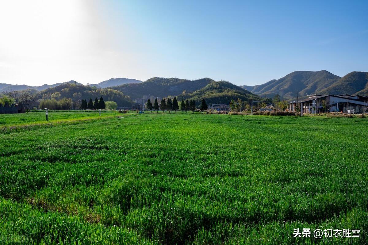 谷雨节气田园古诗六首（谷雨才耕遍，并手摘芳烟）