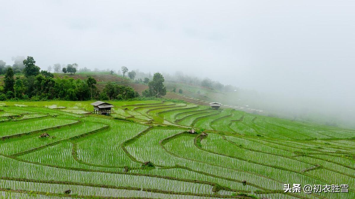 谷雨节气田园古诗六首（谷雨才耕遍，并手摘芳烟）