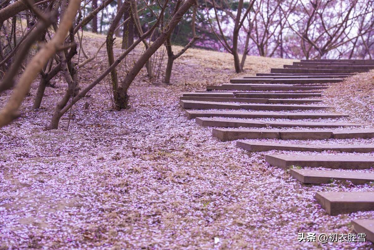 春半古诗六首赏析（春半梁山正落花，可怜春半不还家）