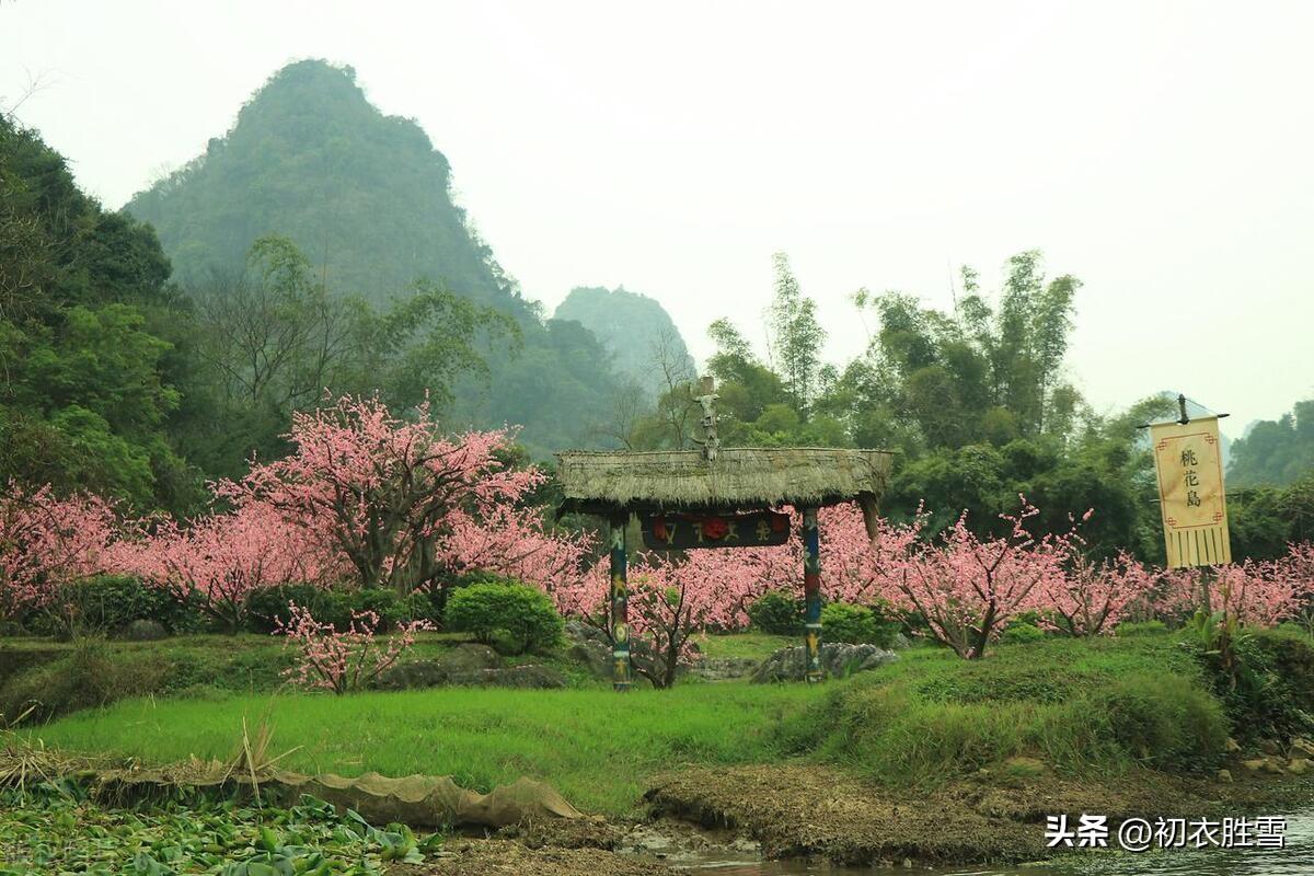 春分四首唯美古诗（谁把春光，平分一半）