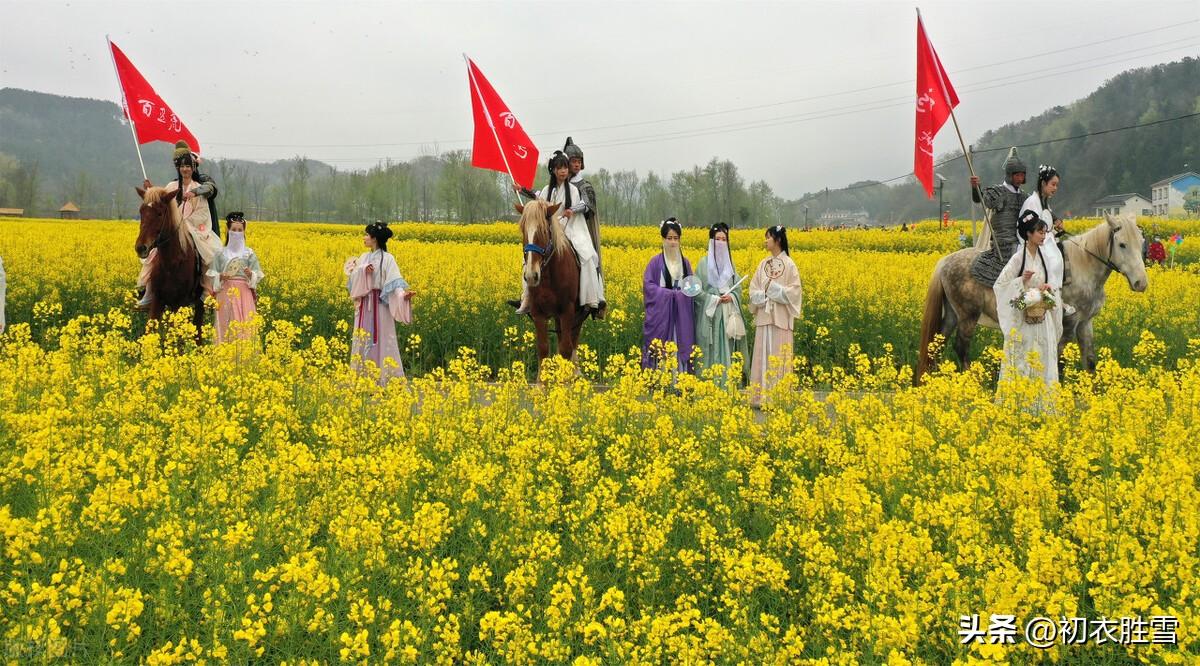 清新二月二诗词五首（二月二日桃花新，东风生物来无垠）