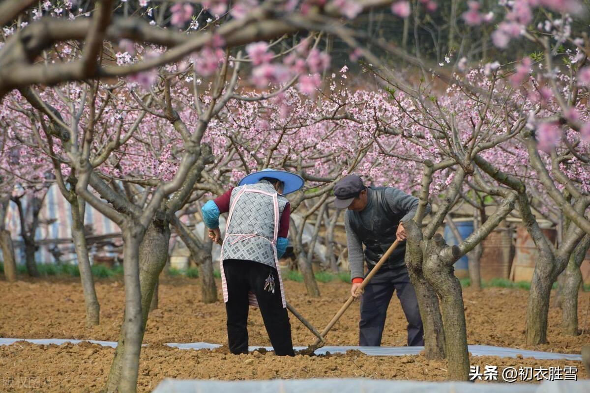 惊蛰节气古诗词五首（轻雷隐隐初惊蛰，梅花应已满山香）