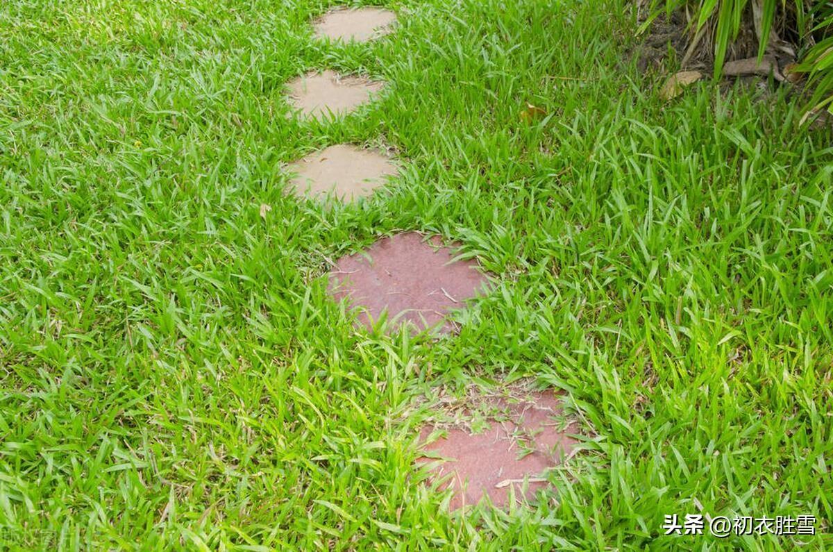 早春春草五首古诗词（微雨夜来过，不知春草生）