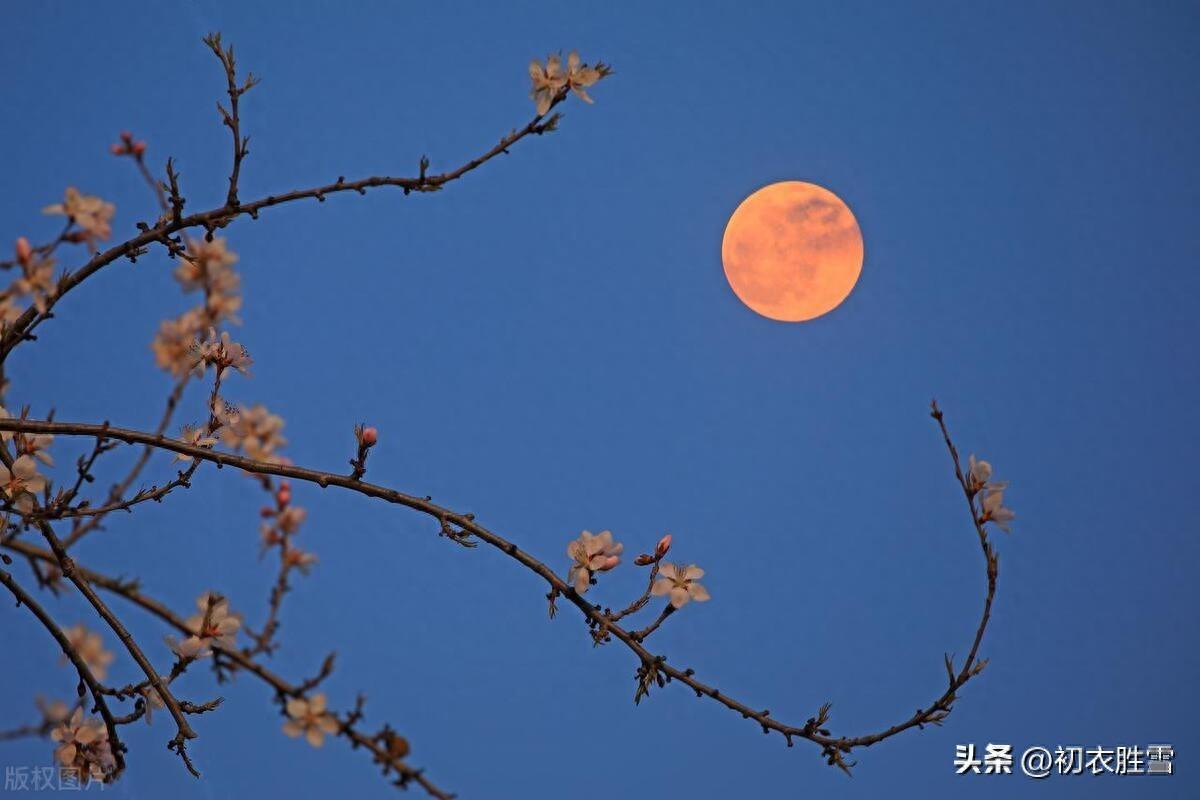 雪夜元宵节五首古诗（春雪如蝴蝶，春灯如百花）