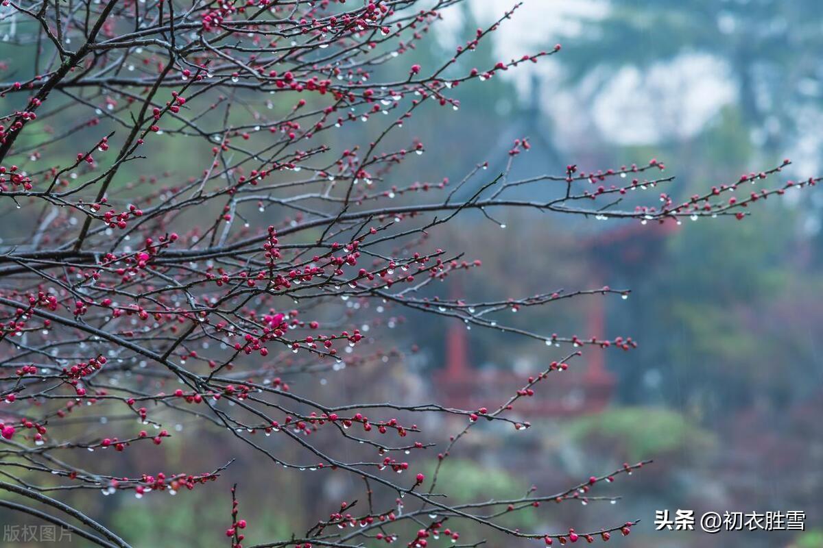 春近五首唯美古诗（春近梅梢著意红，春色先从草际归）