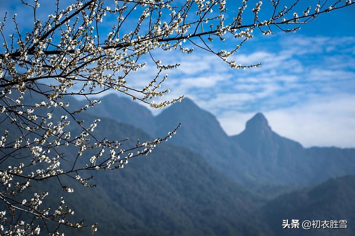 冬去春来古诗词五首（气动春灰五九天，太阳门户向东开）