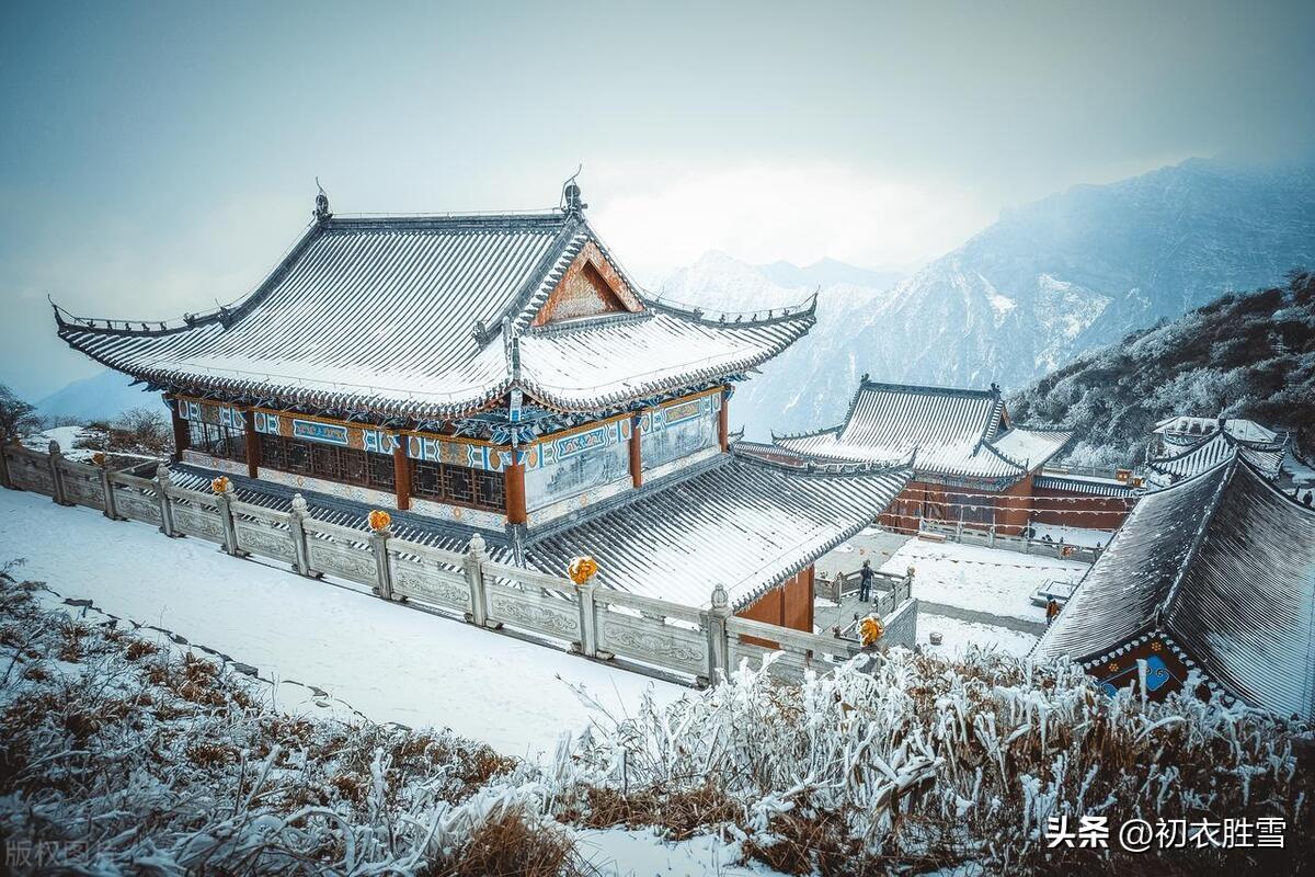 冬至清景绝句六首精选（梅花枝上易，相对一笑新）