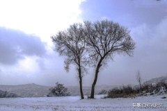 寒潮北风五首古诗（北风其凉，雨雪其雱）