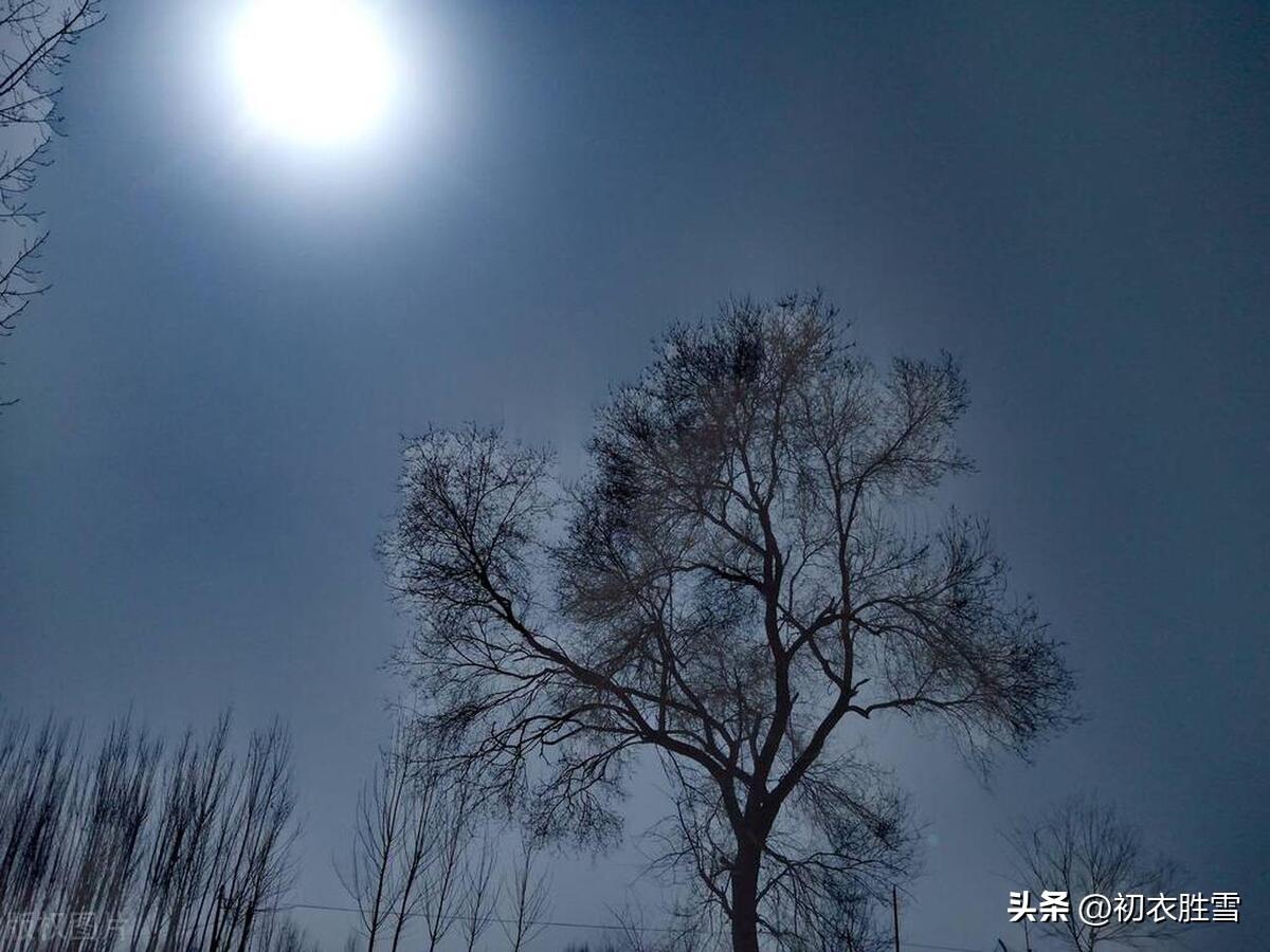 寒潮北风五首古诗（北风其凉，雨雪其雱）