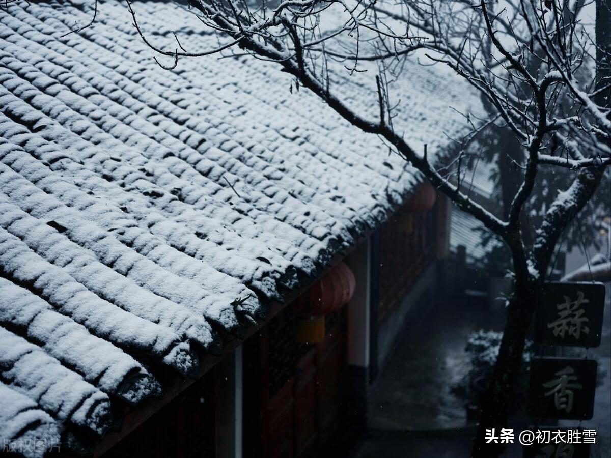 大雪节气五首唯美古诗（飞雪正应大雪节，节候今过大雪天）