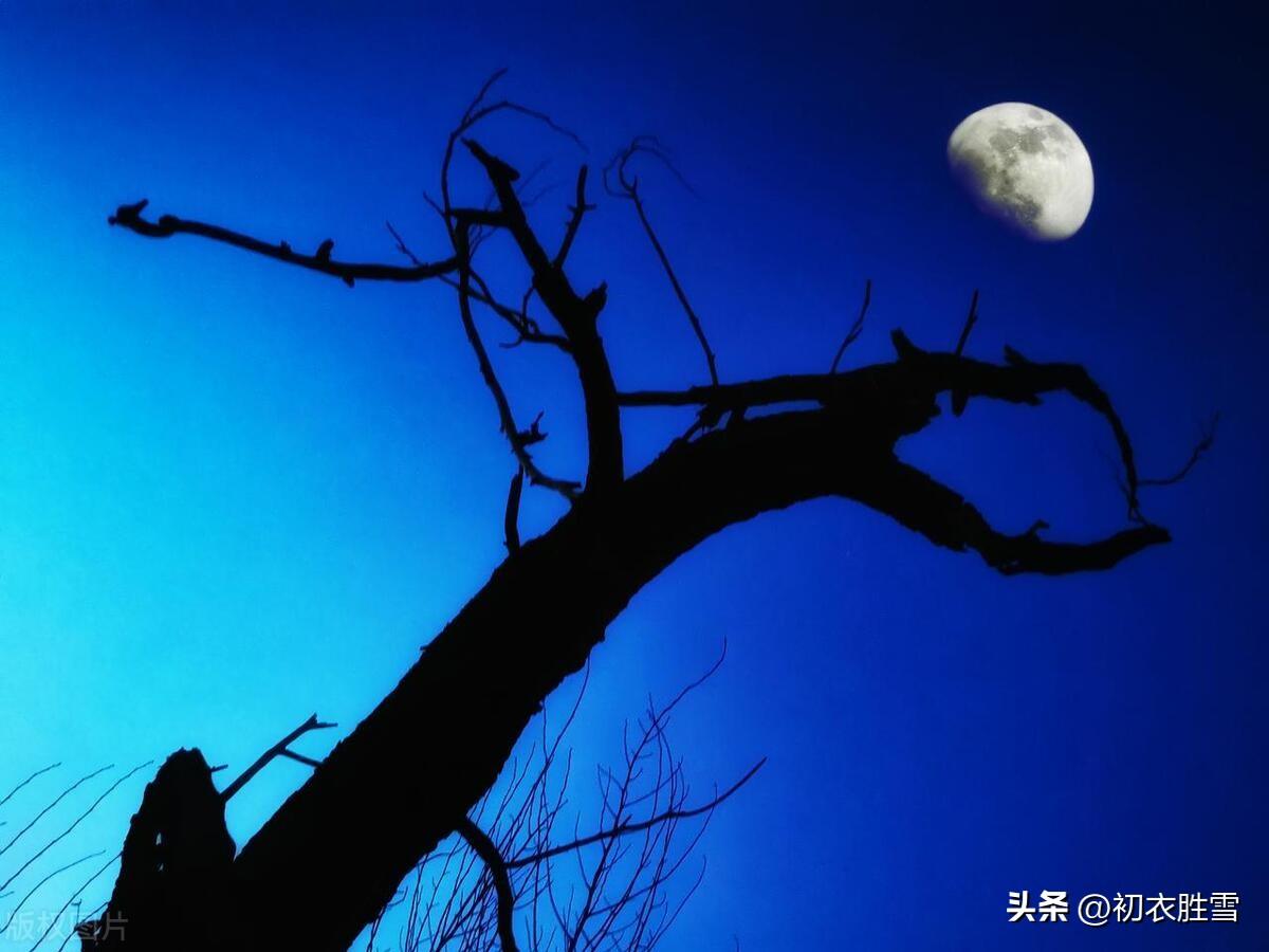 初冬长夜六首古诗（孤灯照长夜，鲜鲜有明月）