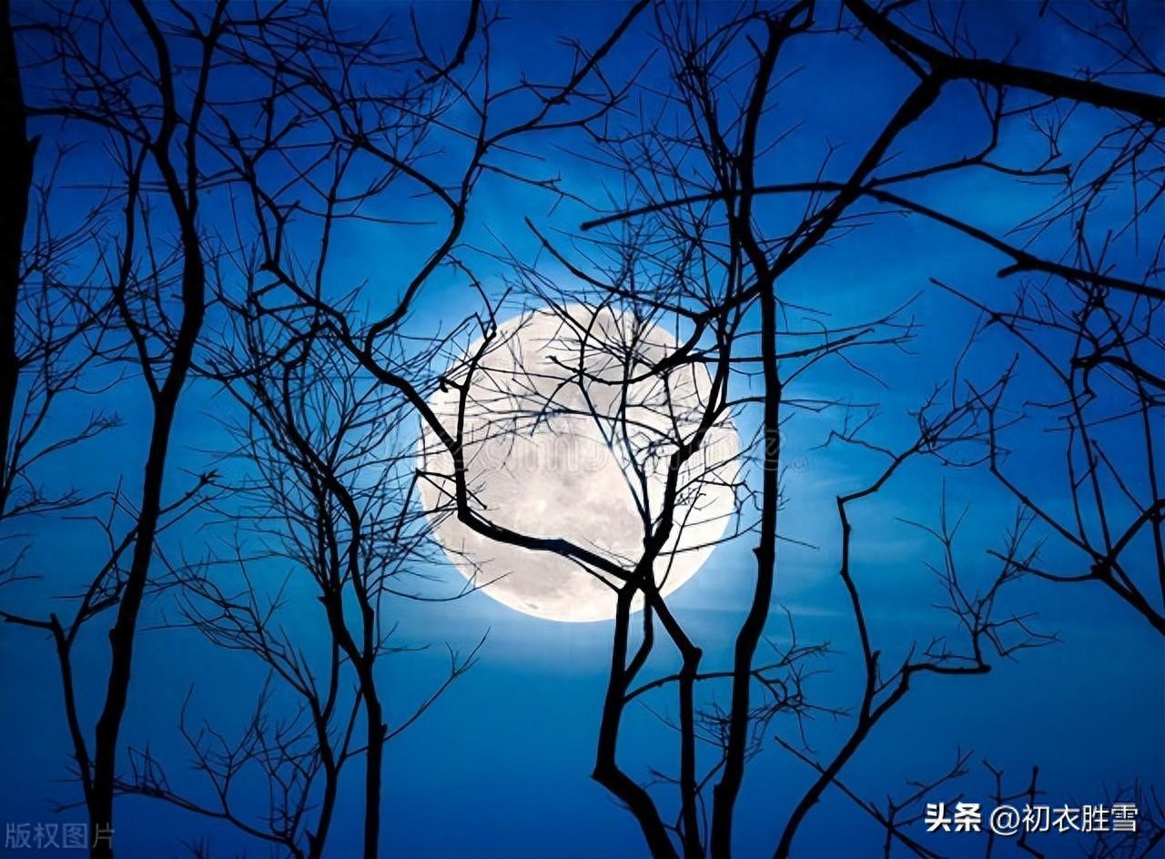 初冬长夜六首古诗（孤灯照长夜，鲜鲜有明月）