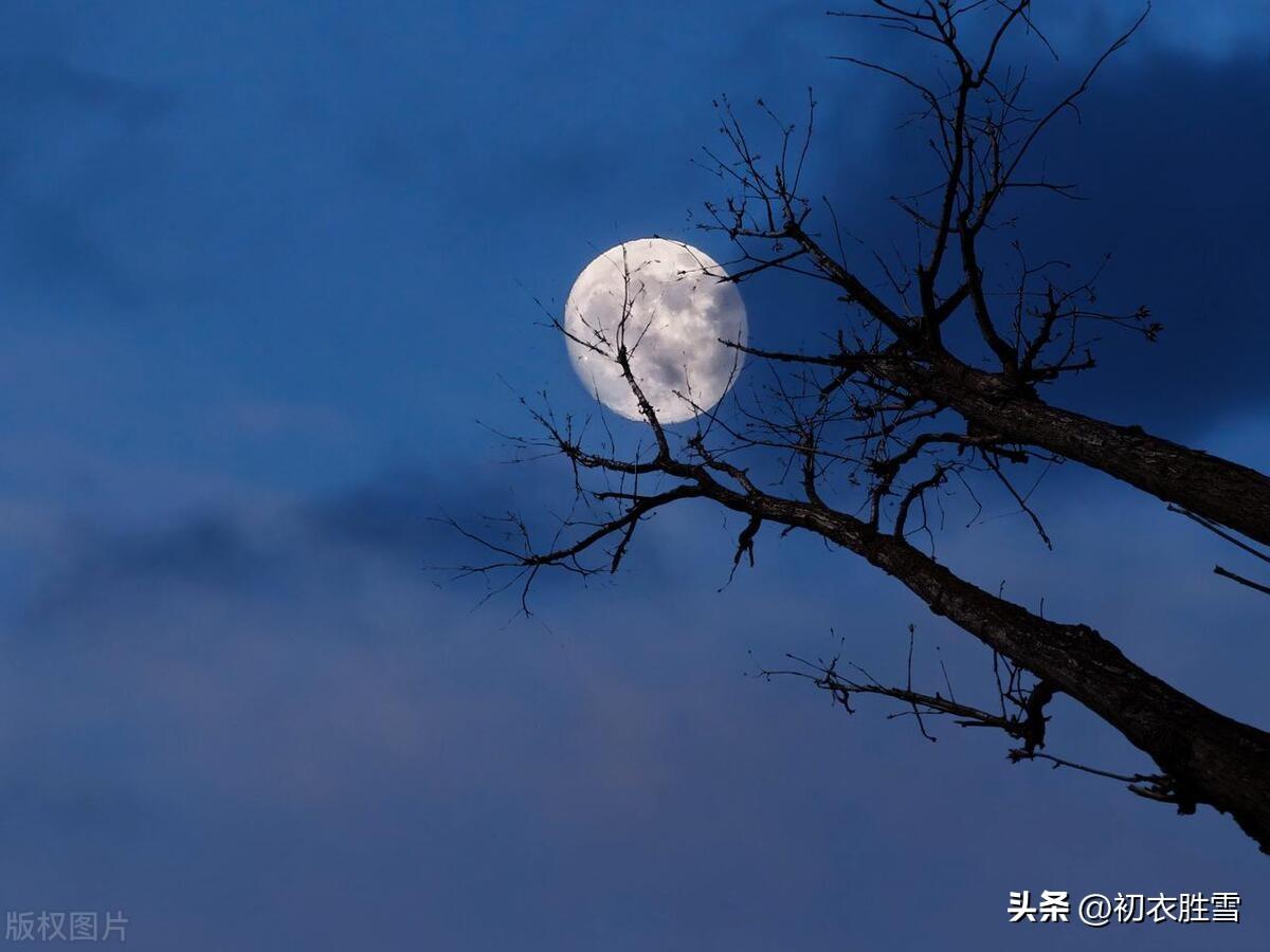 冬日相思五首古诗（不愁行苦苦相思，泪落晴光一首诗）