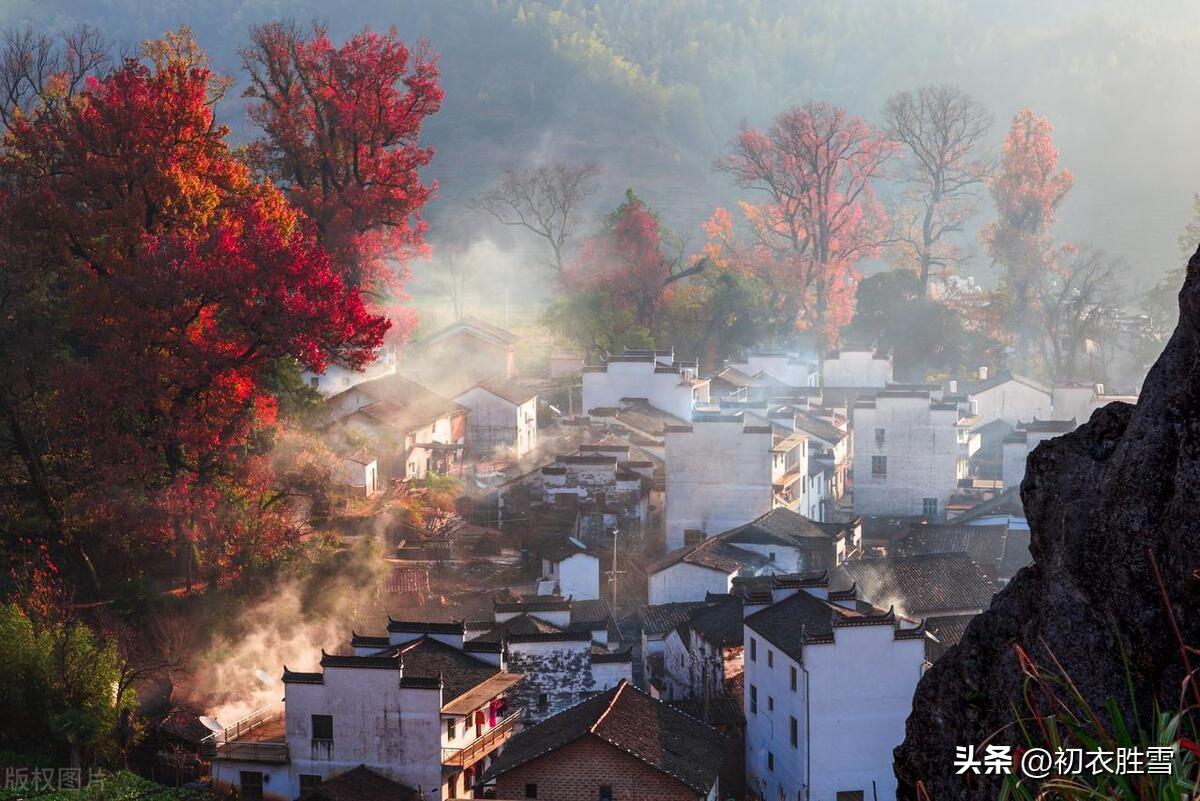 早冬六首唯美古诗（小春天气野花红，小春天气夺清秋）