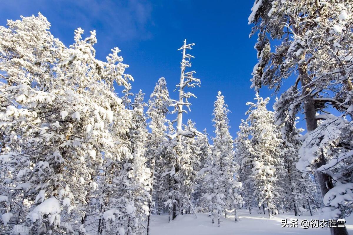 咏雪六首五言绝句（梅花开易落，白雪长到门）