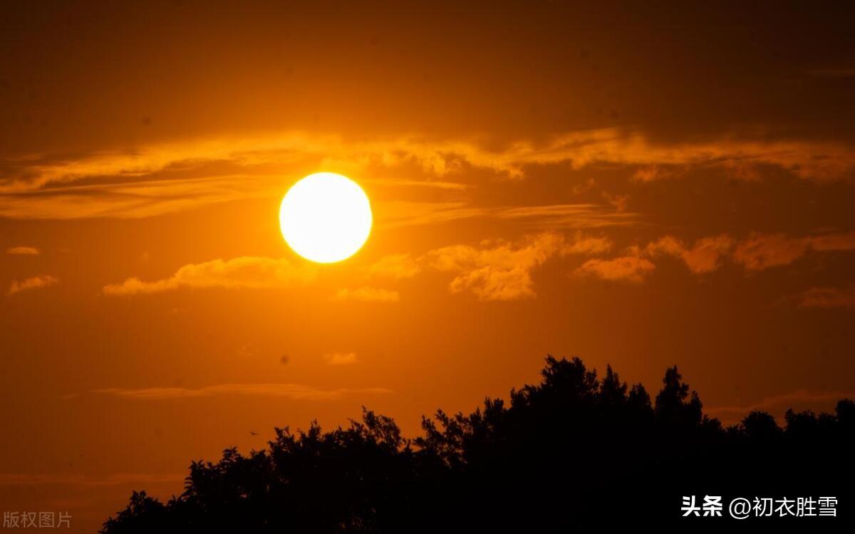 夏至诗词五首经典（一陂野葛花如雪，夏至江村正好嬉）