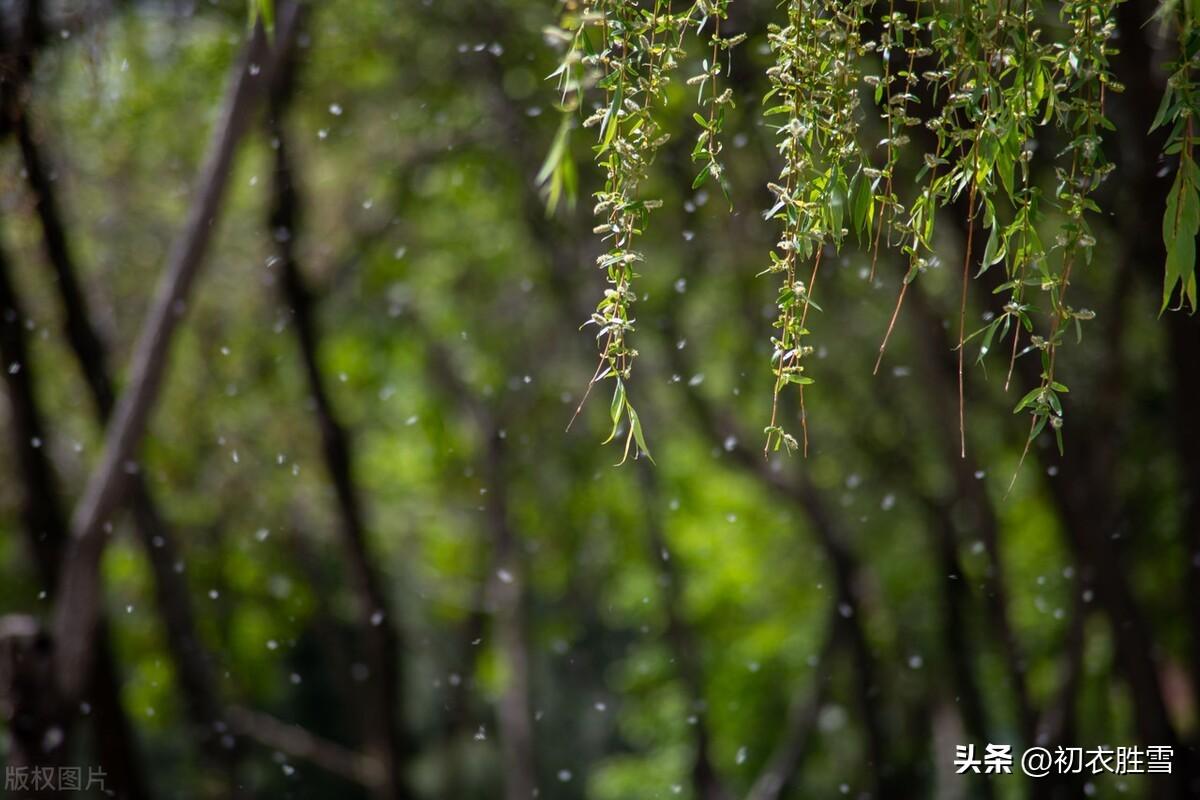 送春古诗七首鉴赏（留春不住送春归，一年春尽送春时）