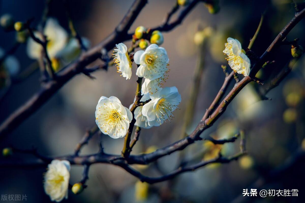 送春古诗七首鉴赏（留春不住送春归，一年春尽送春时）