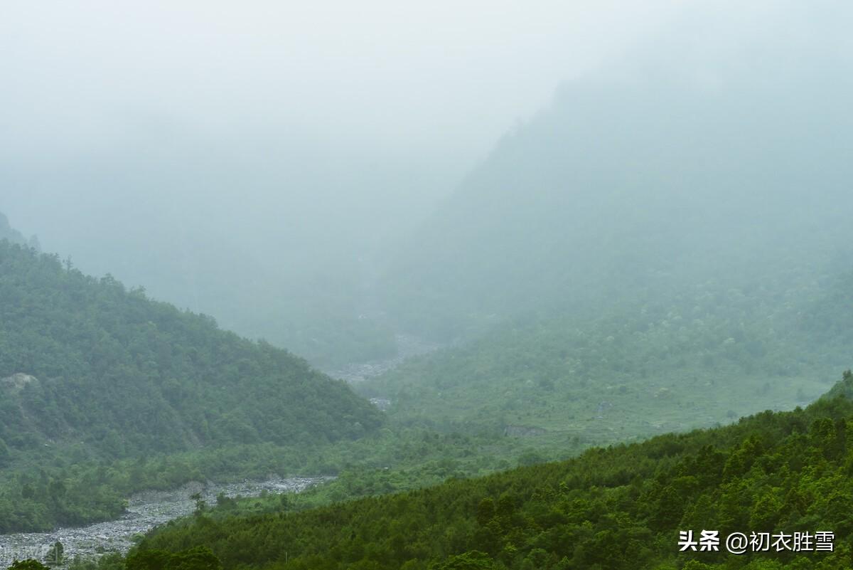 春雨停云三首诗词鉴赏（陶渊明的深沉惆怅，辛弃疾的悲感豪放）