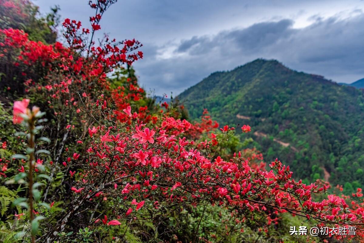 春雨停云三首诗词鉴赏（陶渊明的深沉惆怅，辛弃疾的悲感豪放）