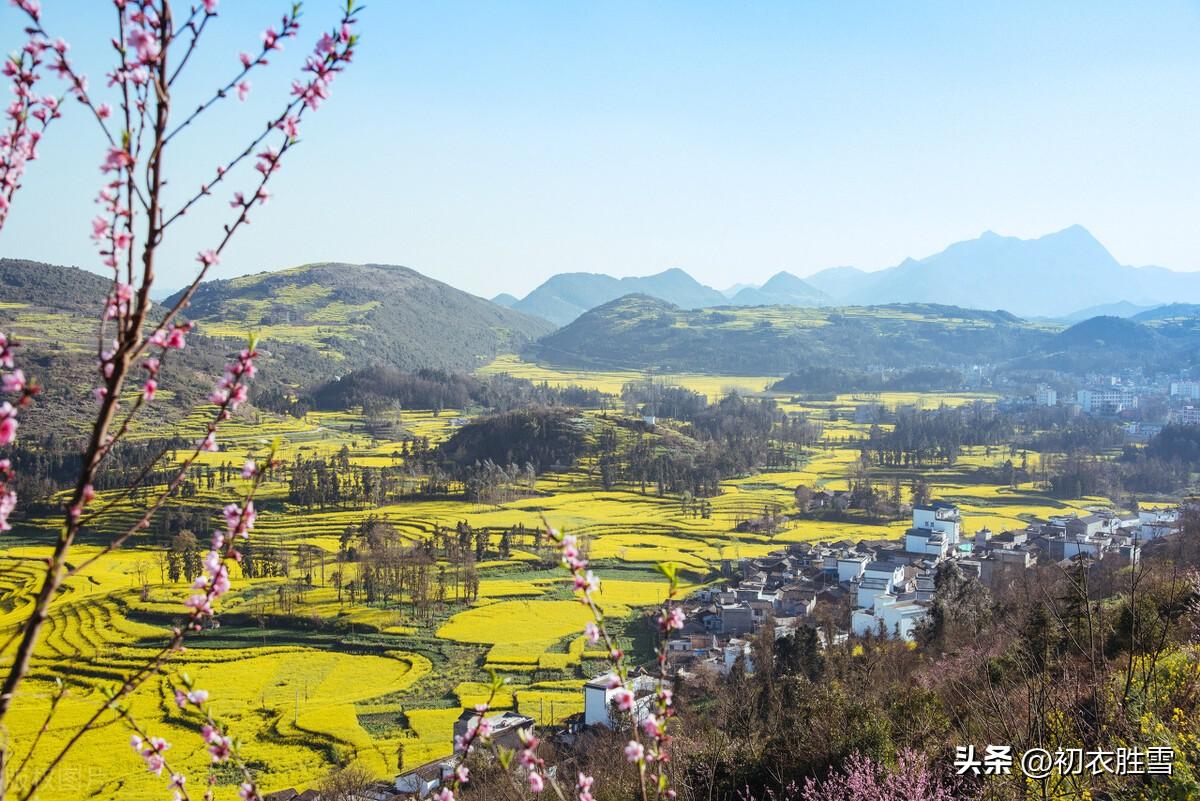 春社六首唯美古诗（社日双飞燕，风光处处生）