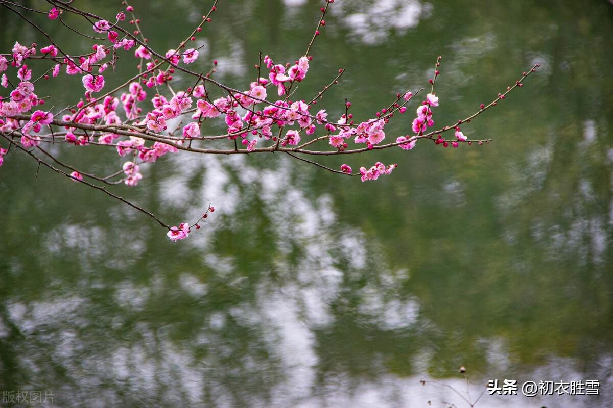 明日是新春，春风生鬓云（立春两首唯美诗词）