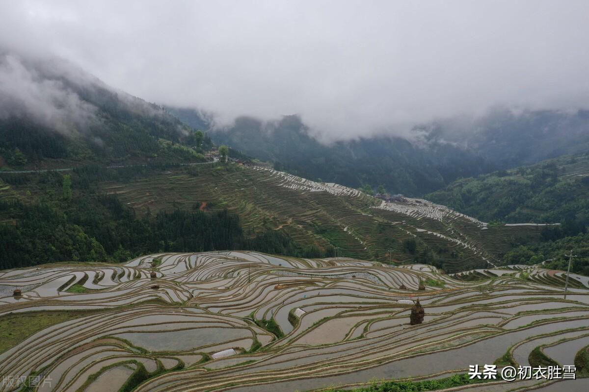 春水清新六首诗词（春雨生春水，春水满四泽）