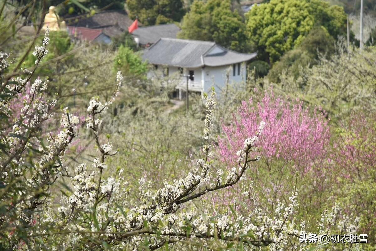 腊月花五首优美古诗（晓来风动似初春,腊月榴花带雪红）