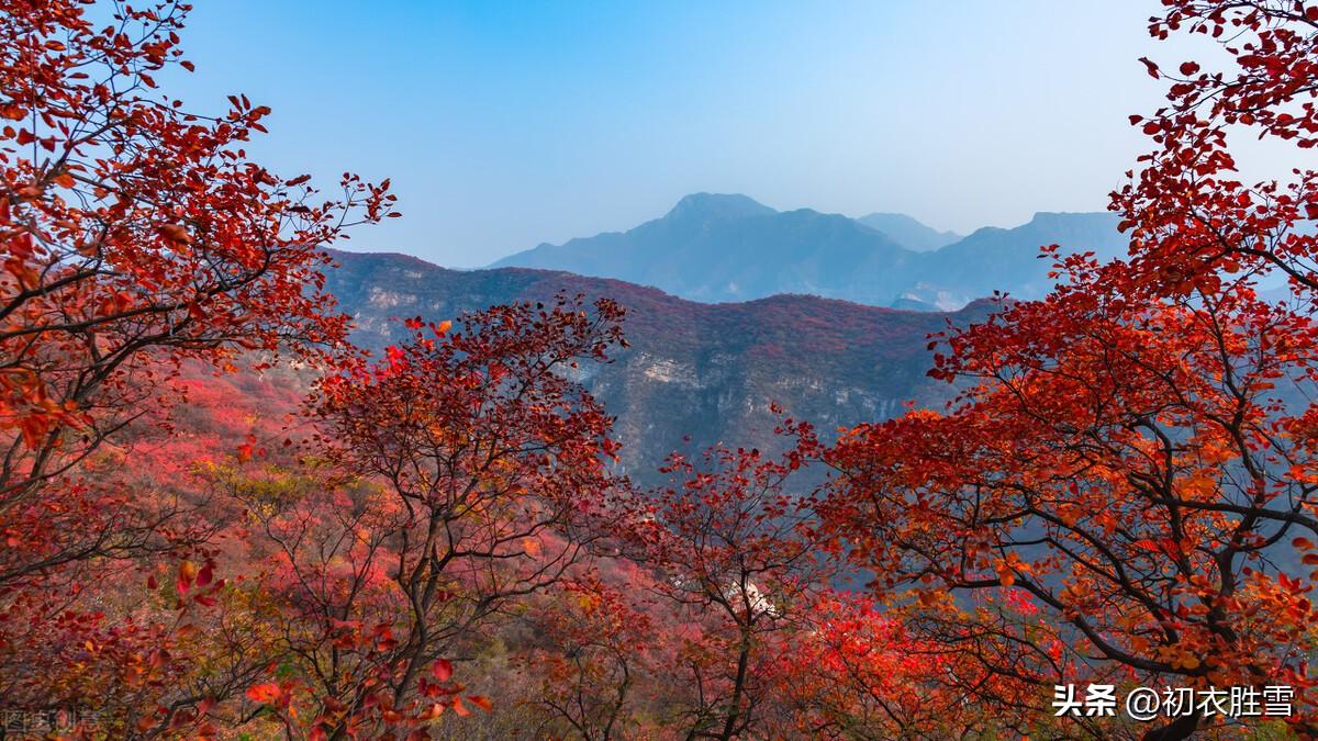 农历十月六首古诗（十月壮美，十月缅怀）