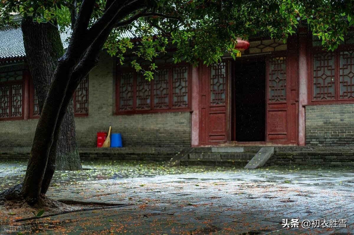 八月秋雨五首古诗（过山秋雨响临池，秋雨新晴水自波）