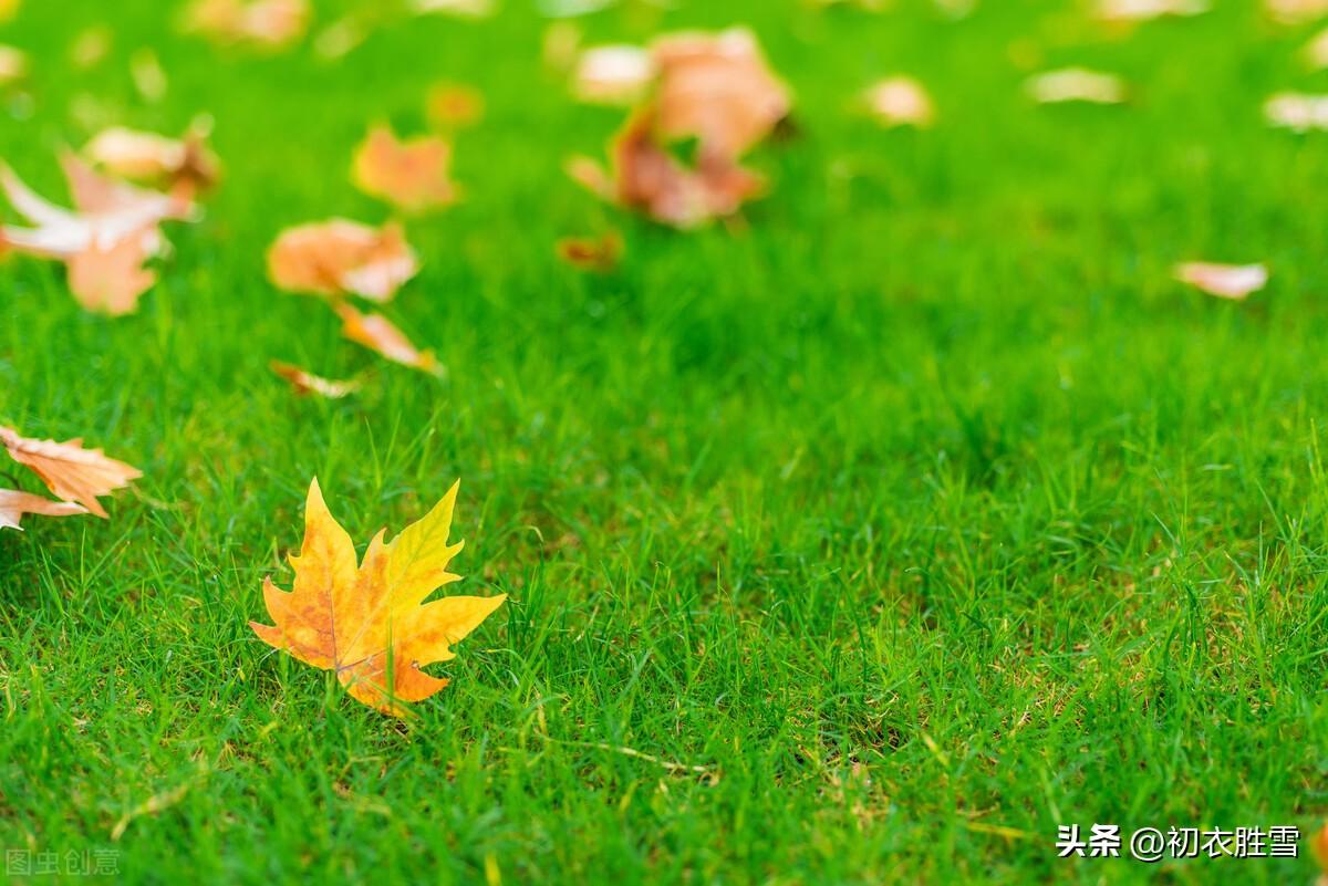 立秋节气六首优美古诗（山容便与新秋净，稻花已作丰年香）