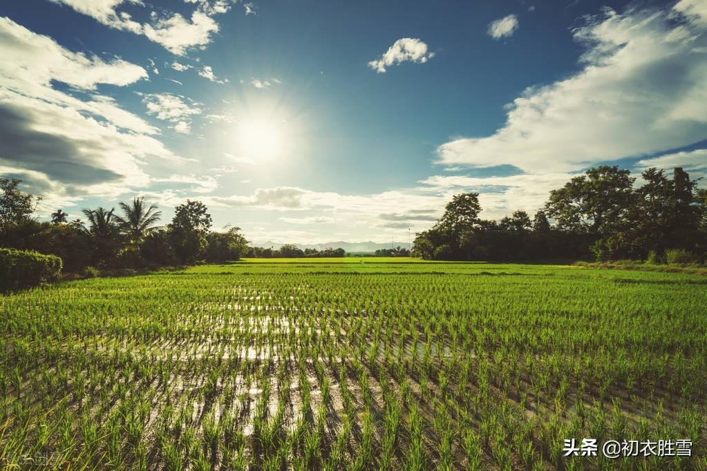 二十四节气夏至六首诗词名句（夏至一阴生，微阴生九原）