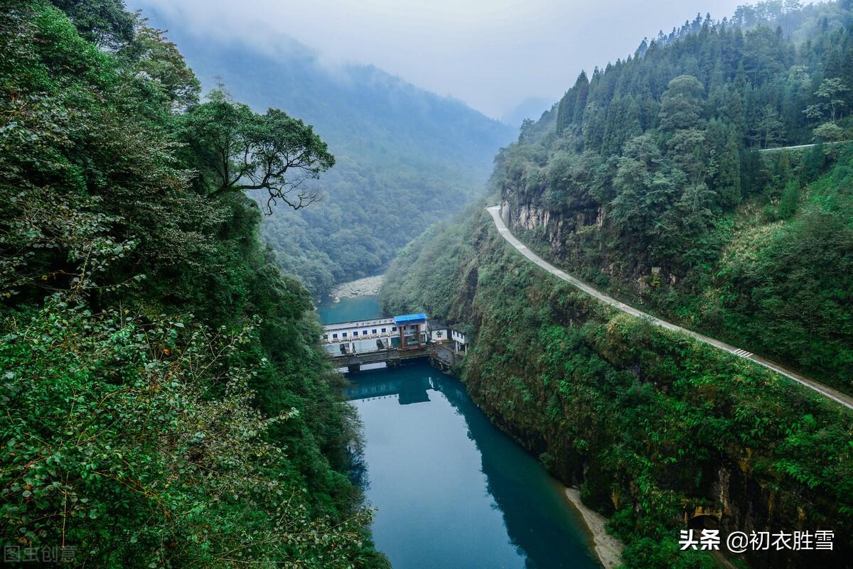 早夏相思七首优美古诗（石榴小萼未开时，故园千里正相思）