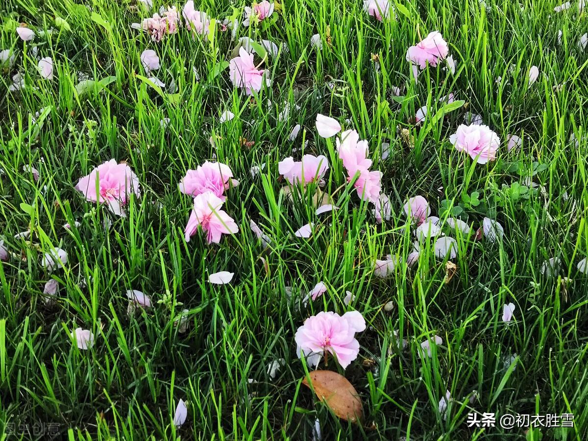 送春古诗七首鉴赏（芳菲歇去何须恨，夏木阴阴正可人）