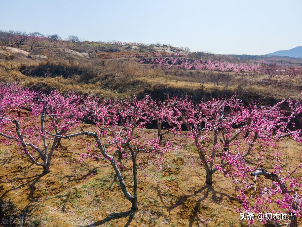 雨水节气五首诗词赏析（春来雨水已流通，必定时和更岁丰）