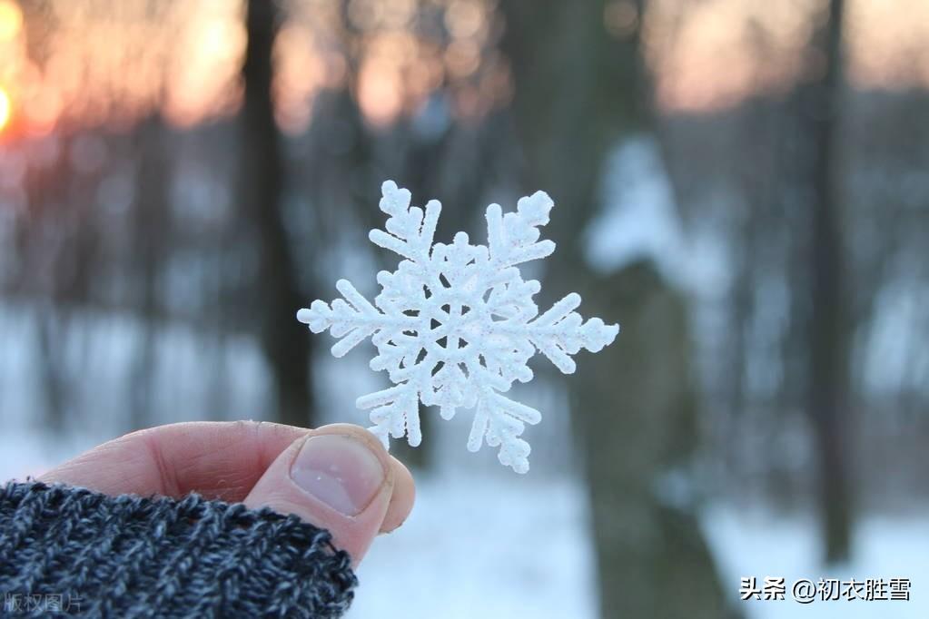 初雪六首优美古诗词（小雪节方过，今朝雪应时）