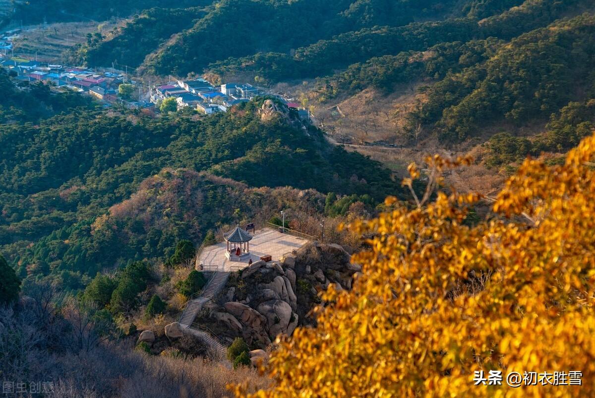 晚秋黄叶村五首古诗（家在江南黄叶村，相逢俱是画中人）