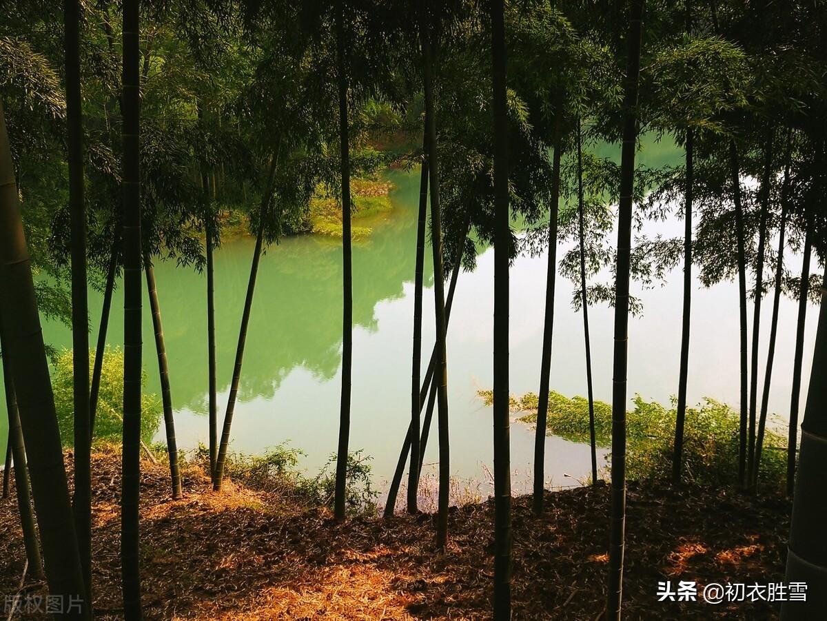 九夏八首唯美古诗（竹风秋九夏，溪月昼三更）