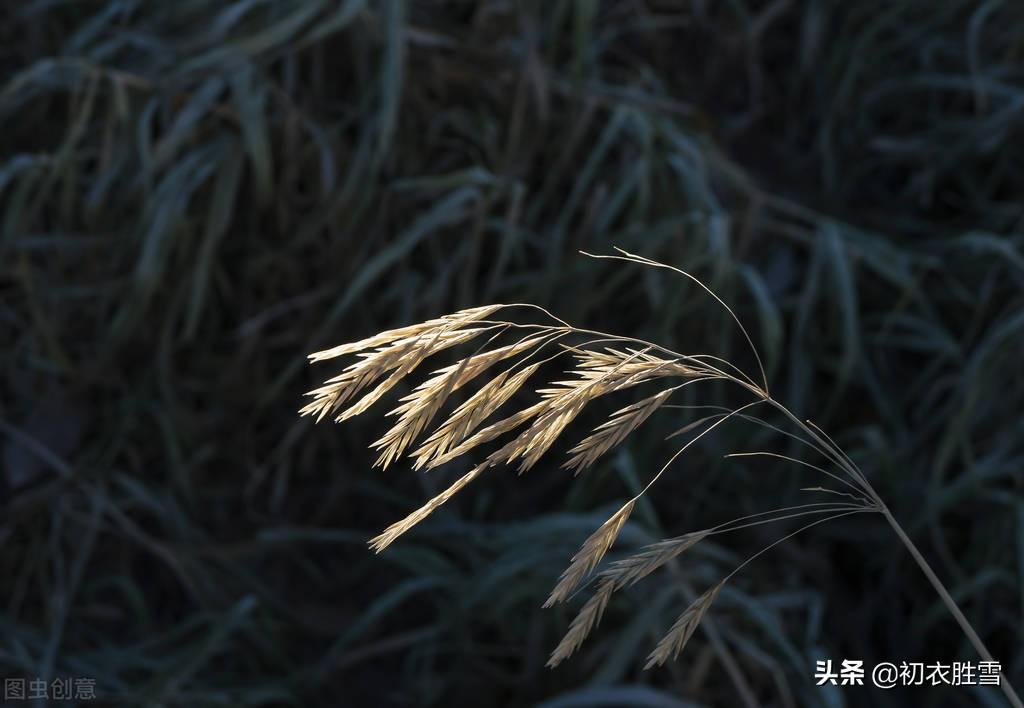 小满三候之靡草古诗七首（靡草虽就死，王瓜亦复生）