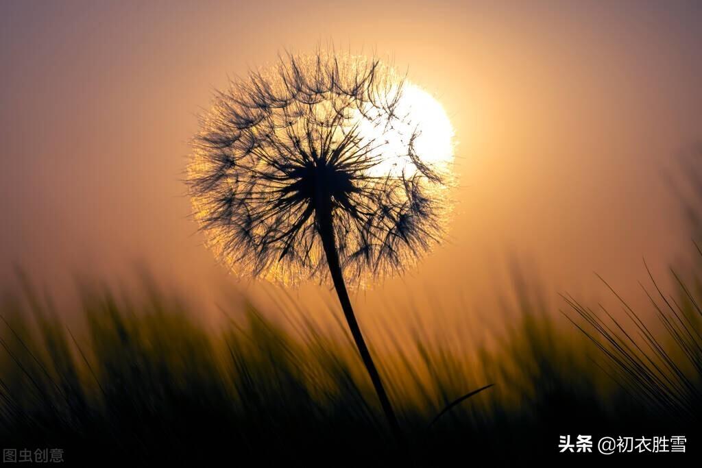 小满三候之靡草古诗七首（靡草虽就死，王瓜亦复生）