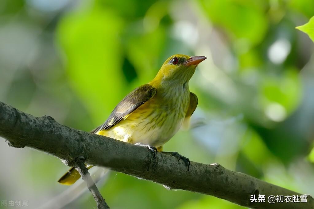 明丽晚春七首诗词（楼外青山似故人，雨余山色静无尘）