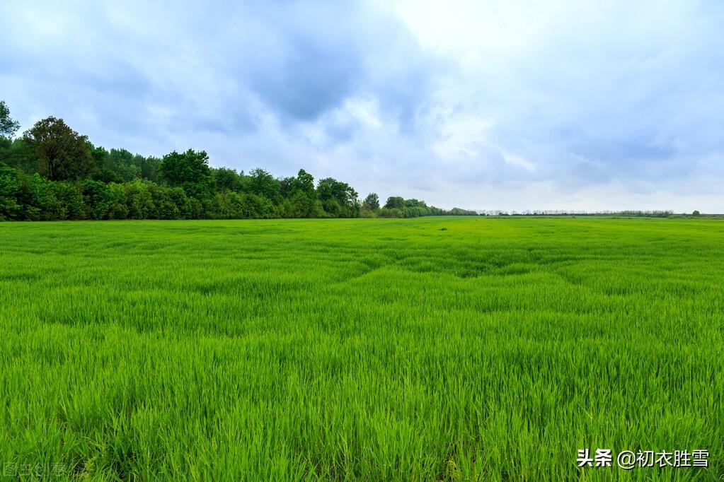 明丽晚春七首诗词（楼外青山似故人，雨余山色静无尘）