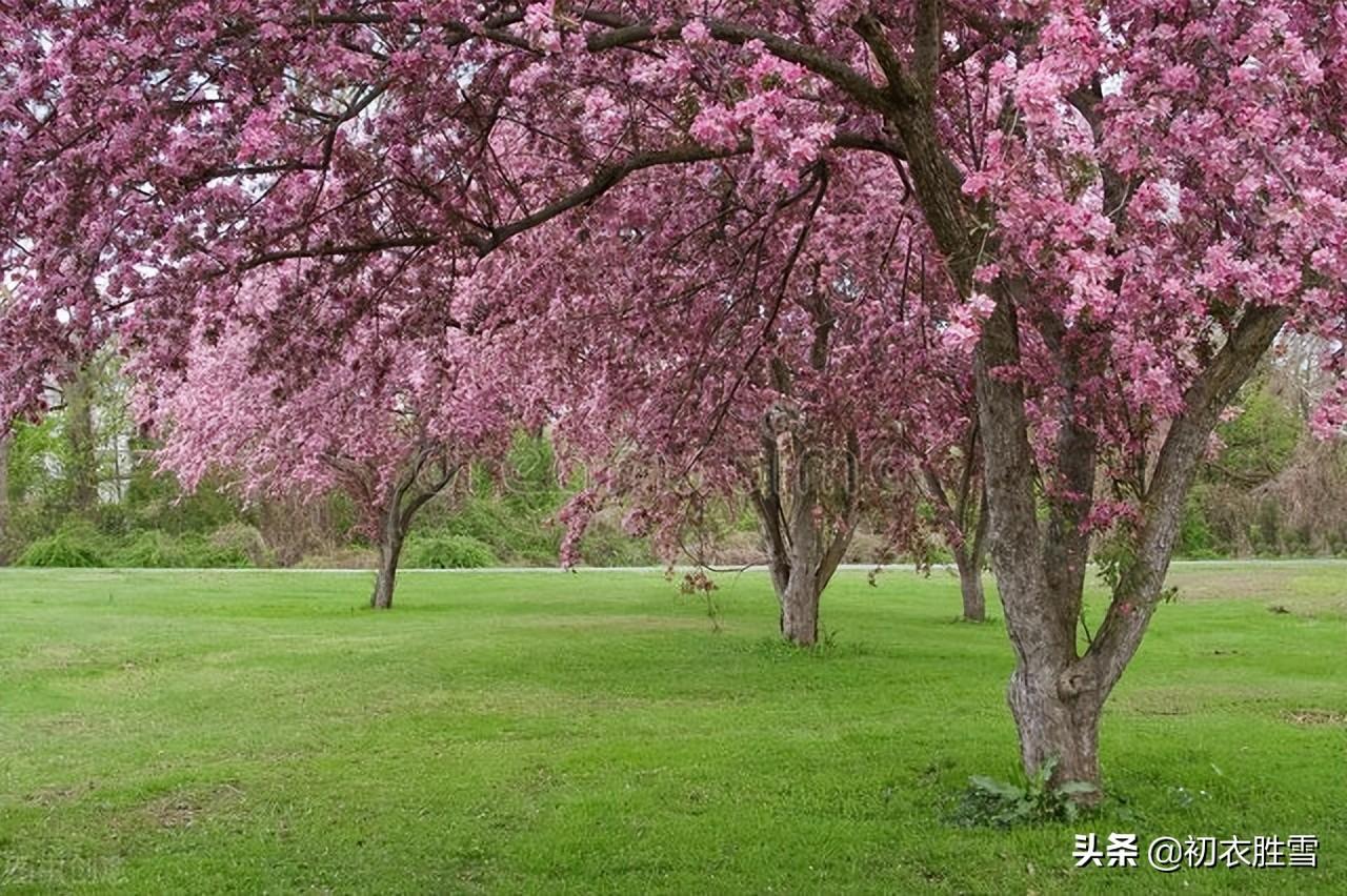 烟花三月六首古诗（三月烟花低草树，烟花三月下扬州）