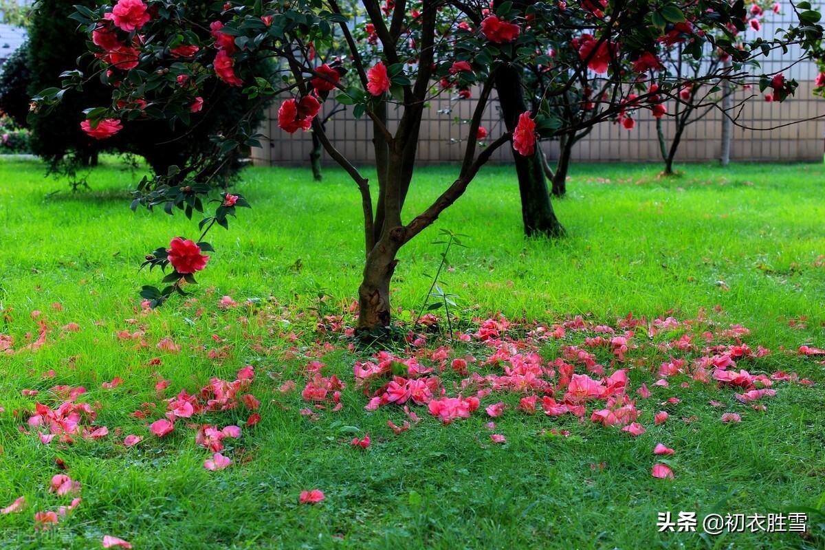 暮春三月五首诗词绝句（春风三月正花好，满架蔷薇带露鲜）