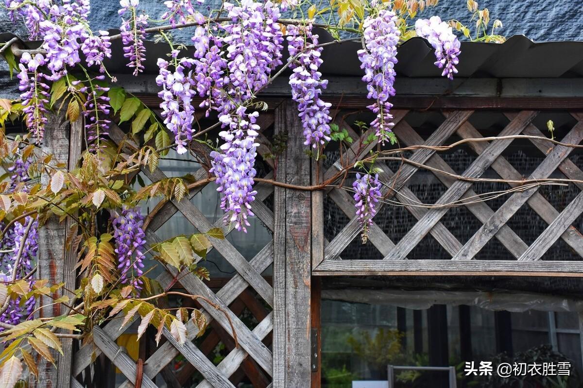 仲春春半五首古诗词（平分春半半春华，半开半落野棠花）