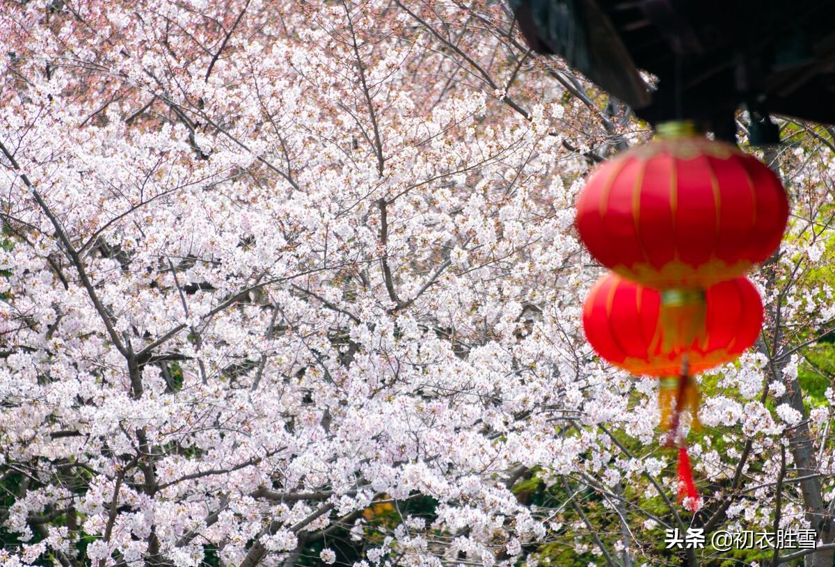 花朝节六首诗词（今日是花朝，一年春事说今朝）