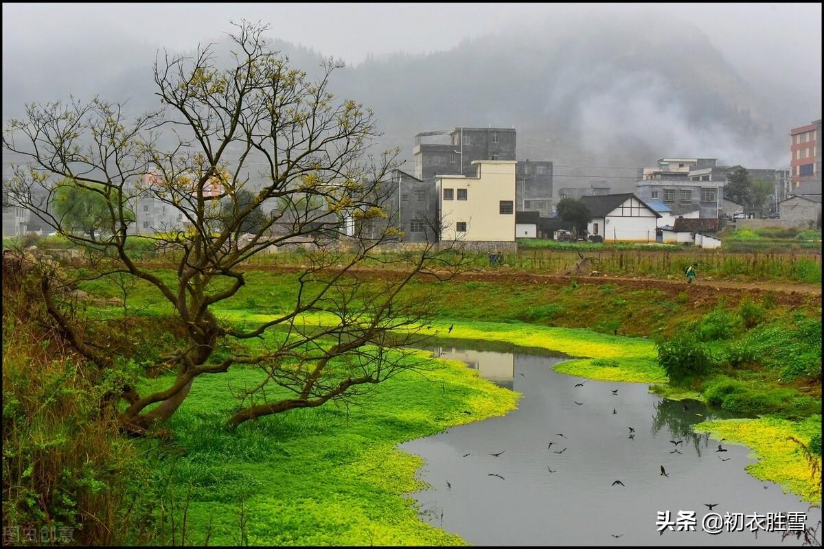 仲春春社六首古诗词（此日春风属社公，谈谈古代的春社）